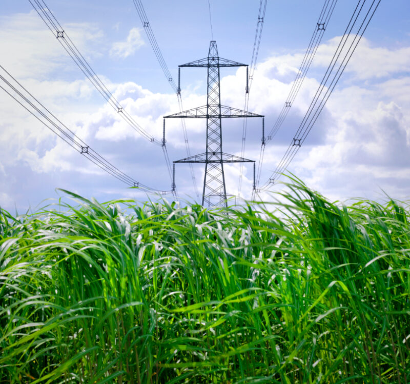 Electricity pylons supplying power for homes and businesses